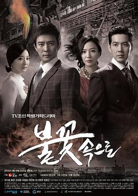 聊城seo优化排名招商